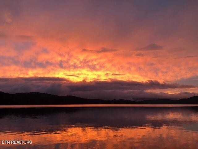 0 Ridge Top Drive Rockwood, TN 37854 - Photo 34 of 34 a view of yard and ocean