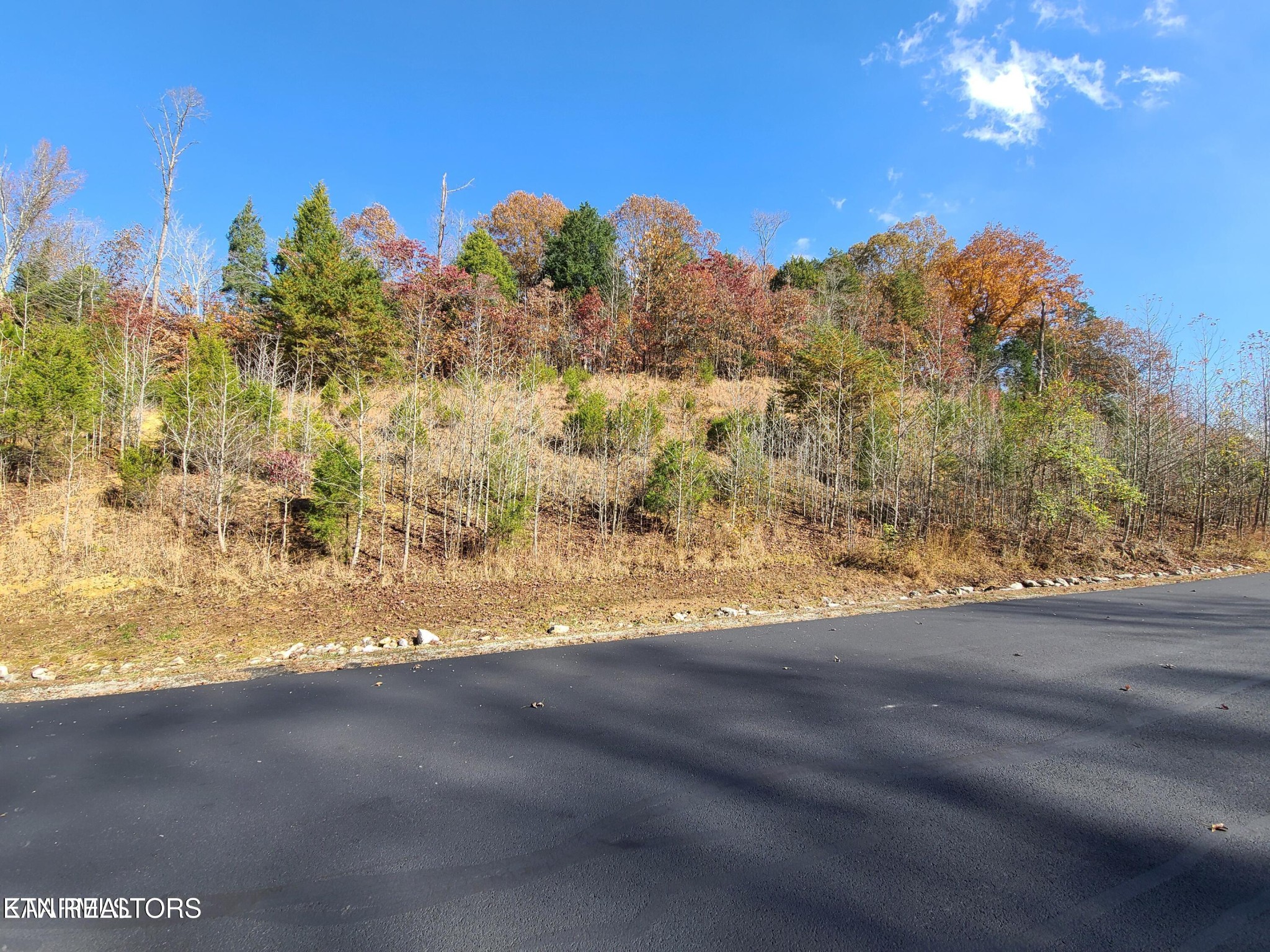 0 Ridge Top Drive Rockwood, TN 37854 - Photo 4 of 34 a view of a yard with a lake view