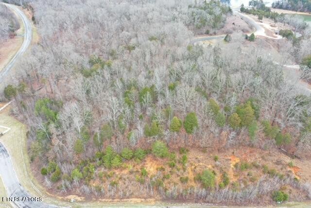 0 Ridge Top Drive Rockwood, TN 37854 - Photo 5 of 34 a view of a yard