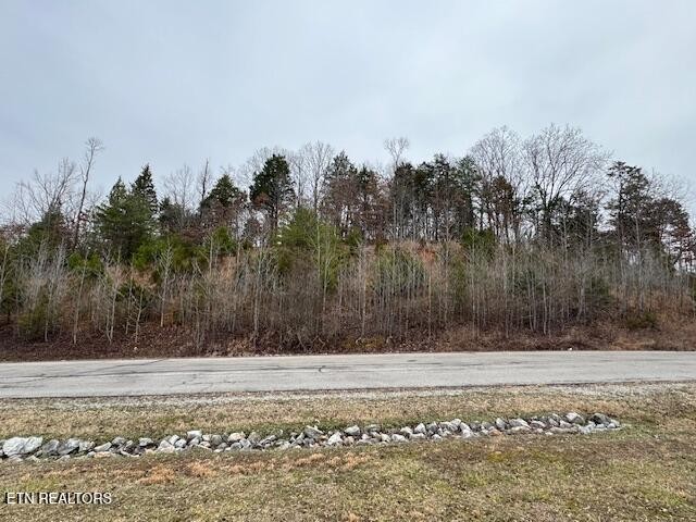 0 Ridge Top Drive Rockwood, TN 37854 - Photo 10 of 34 a view of swimming pool with a yard
