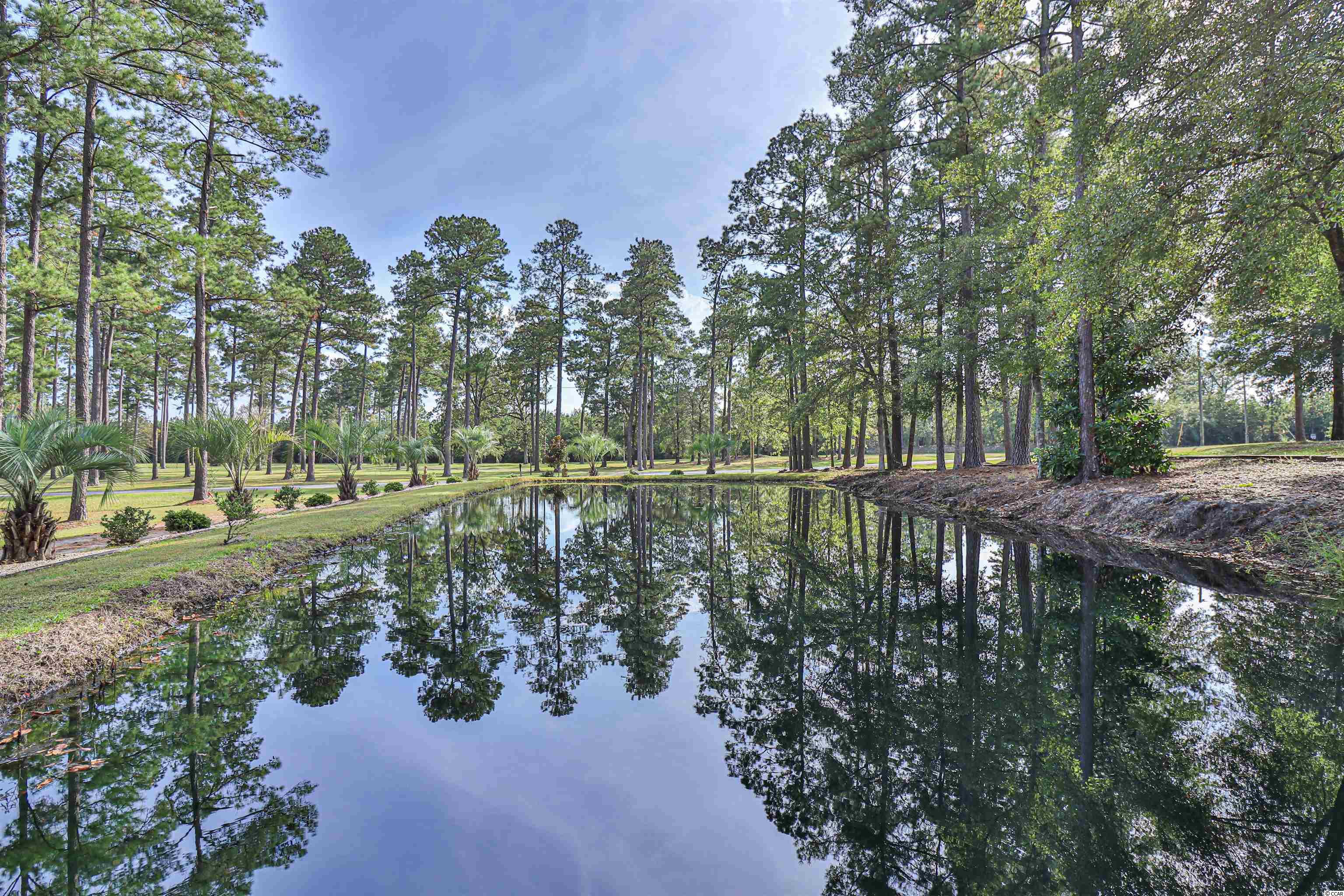 3827 Center Road Georgetown, SC 29440 - Photo 28 of 39 Gallery Image 28