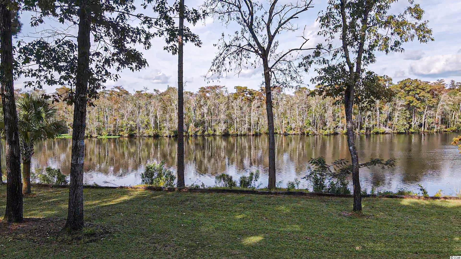 3827 Center Road Georgetown, SC 29440 - Photo 30 of 39 Gallery Image 30