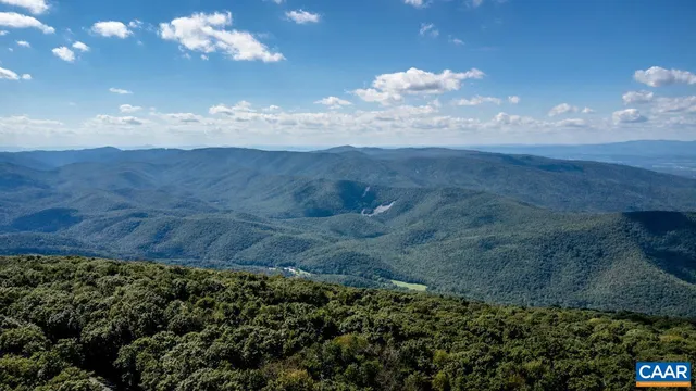 a view of a lush green space with sea