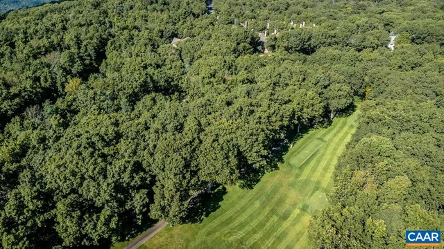 a view of a lush green forest with lots of green space