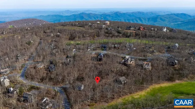 a view of a forest with a mountain
