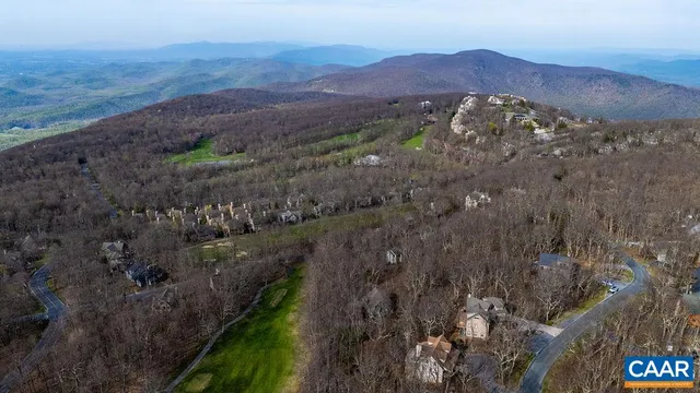 a view of a lush green hillside and houses