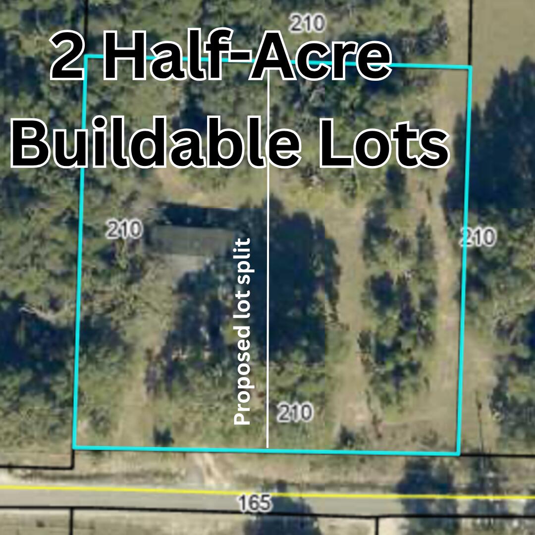 2 Half-Acre Buildable Lots