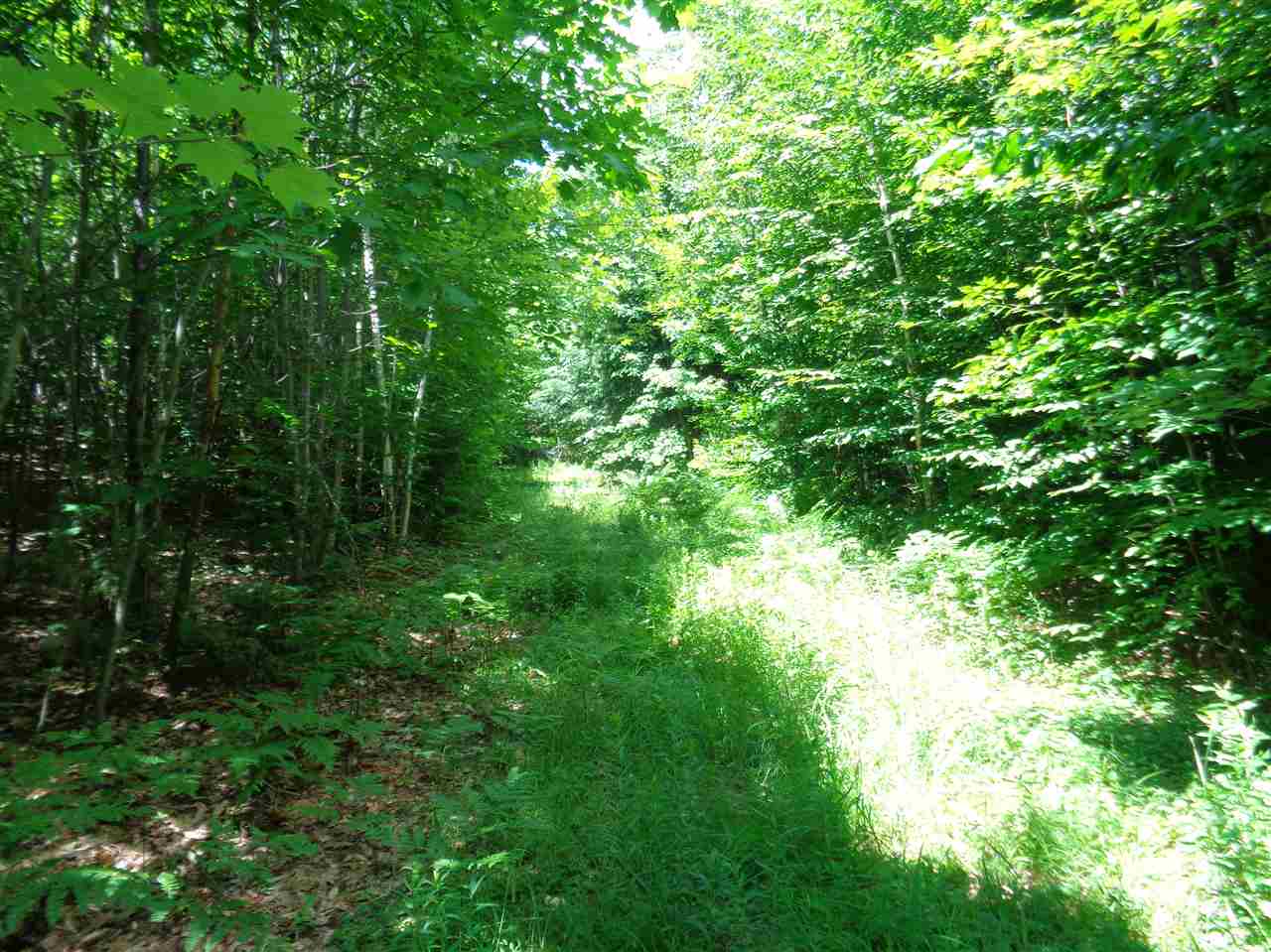 0 Hall Road Bristol, NH 03222 - Photo 12 of 21 Gallery Image 12