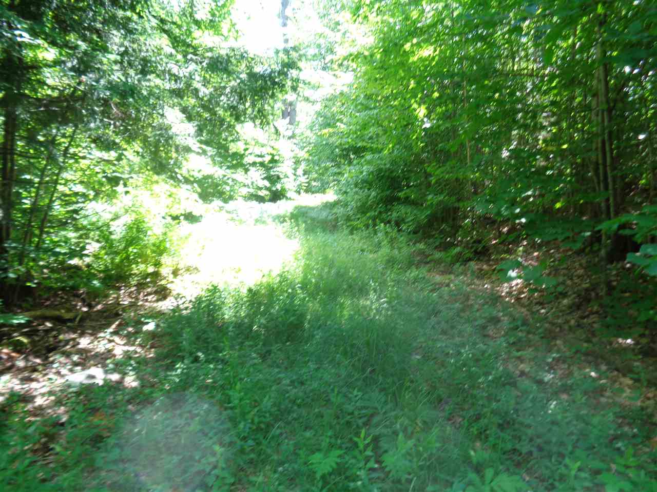 0 Hall Road Bristol, NH 03222 - Photo 14 of 21 Gallery Image 14