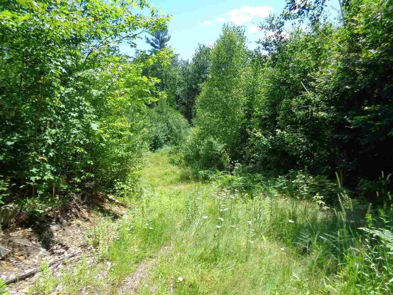 0 Hall Road Bristol, NH 03222 - Photo 15 of 21 Gallery Image 15