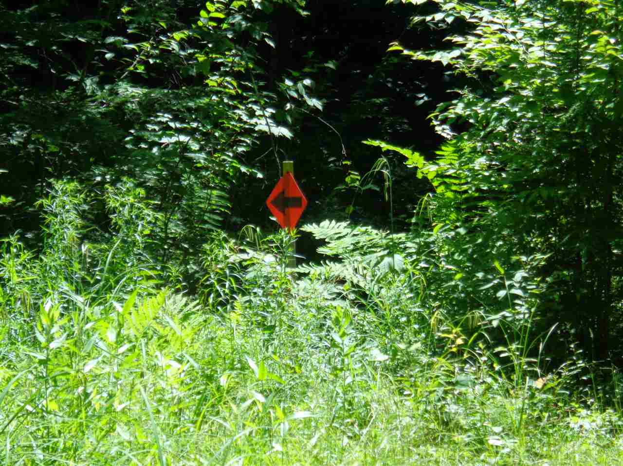 0 Hall Road Bristol, NH 03222 - Photo 20 of 21 Gallery Image 20