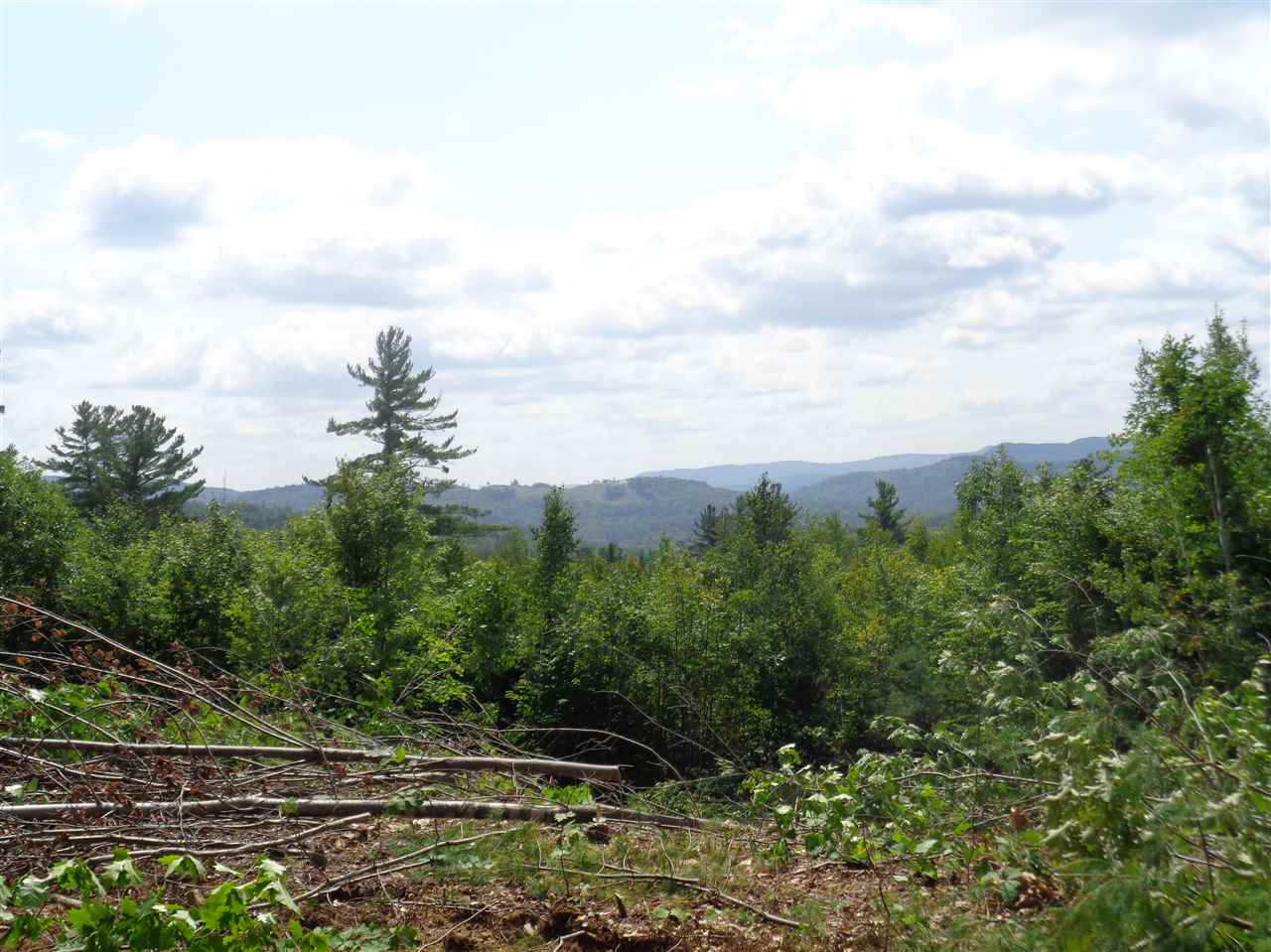 0 Hall Road Bristol, NH 03222 - Photo 3 of 21 Gallery Image 3