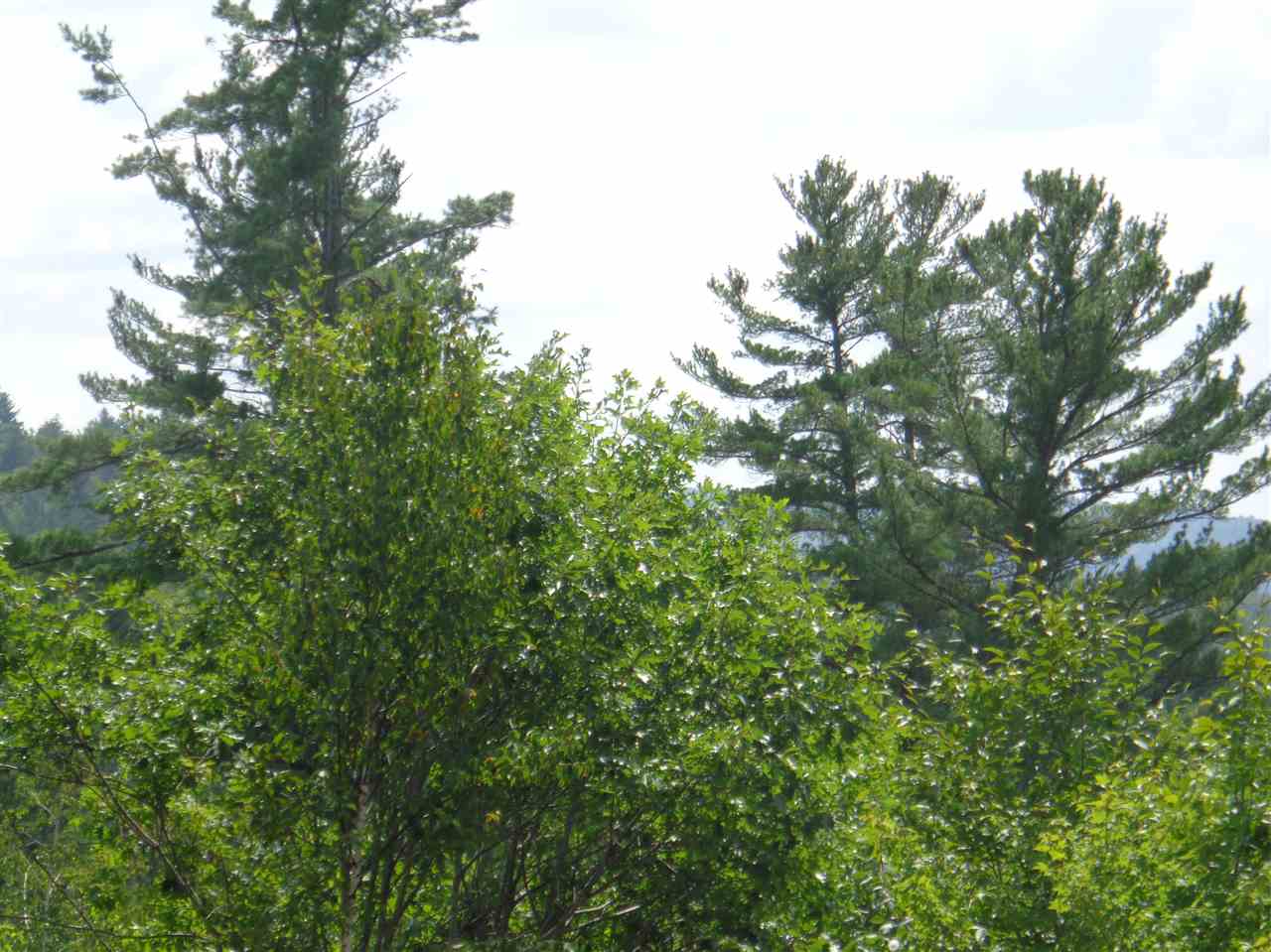 0 Hall Road Bristol, NH 03222 - Photo 7 of 21 Gallery Image 7