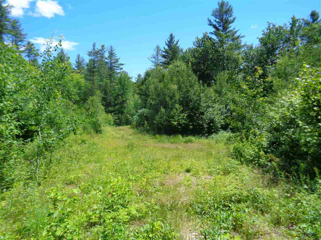 0 Hall Road Bristol, NH 03222 - Photo 8 of 21 Gallery Image 8