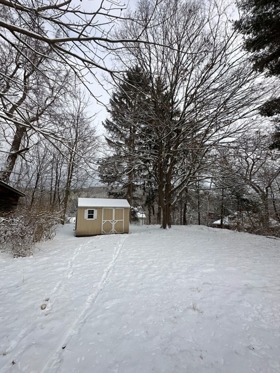 26 Green Street Monson, MA 01057 - Photo 33 of 38 a view of a trees with trees in front of it