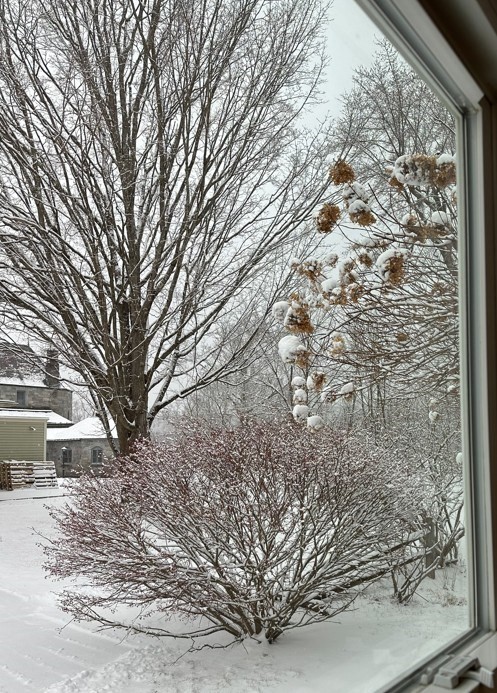 26 Green Street Monson, MA 01057 - Photo 38 of 38 a view of a house with a yard