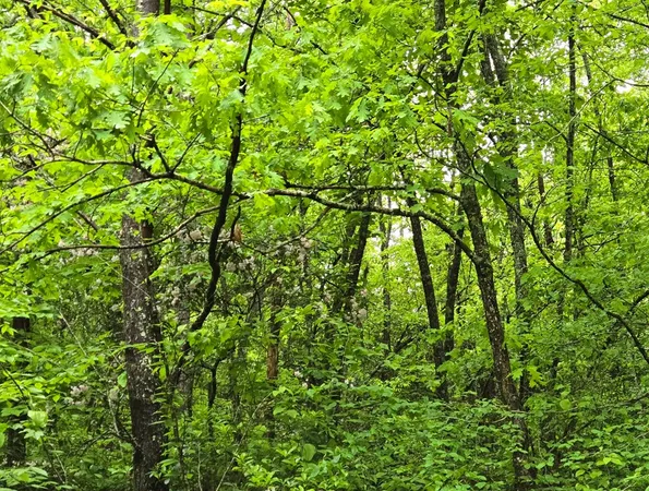 $45,000 | H7 River Sound Village, Hayesville, NC 28904