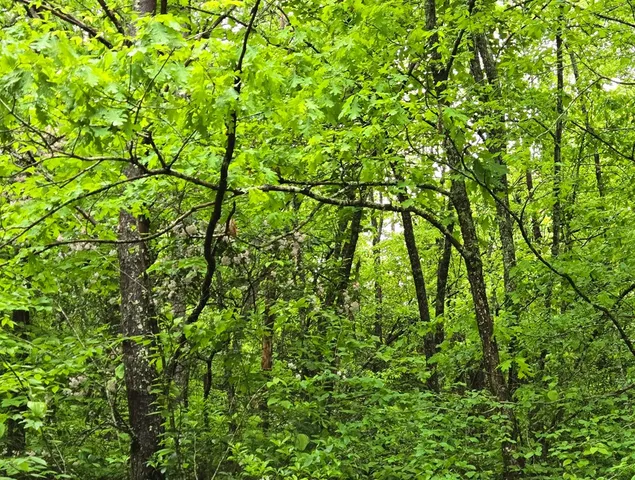 $49,900 | H7 River Sound Village, Hayesville, NC 28904