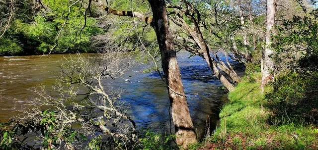 $49,900 | H7 River Sound Village, Hayesville, NC 28904