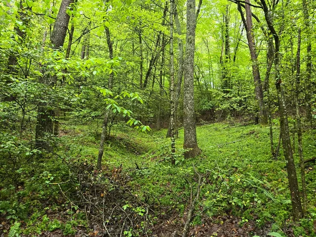 $49,900 | H7 River Sound Village, Hayesville, NC 28904