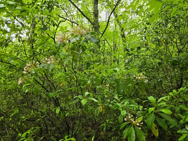 $45,000 | H7 River Sound Village, Hayesville, NC 28904
