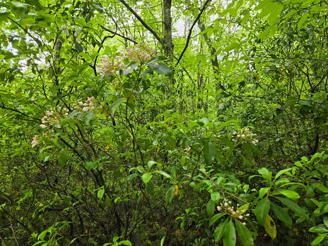 $49,900 | H7 River Sound Village, Hayesville, NC 28904