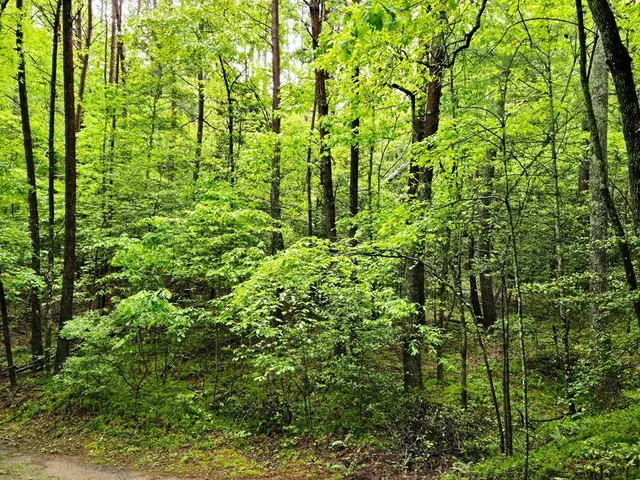 $49,900 | H7 River Sound Village, Hayesville, NC 28904