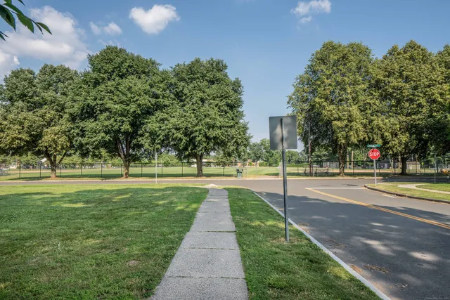 a park with large trees