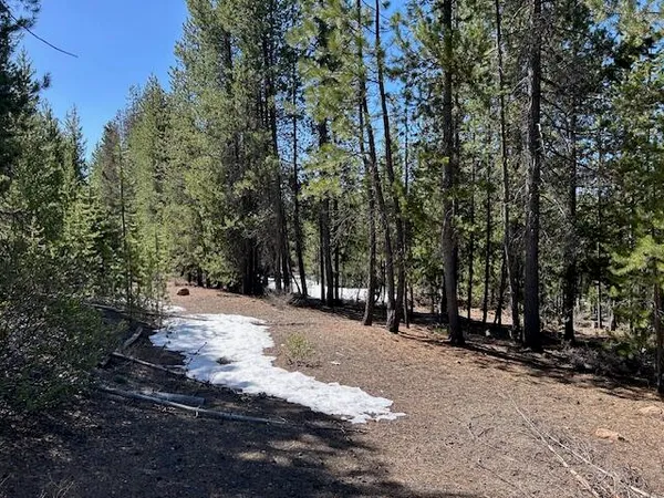 $125,000 | 33 Emerald Meadows Way, Crescent Lake, OR 97733