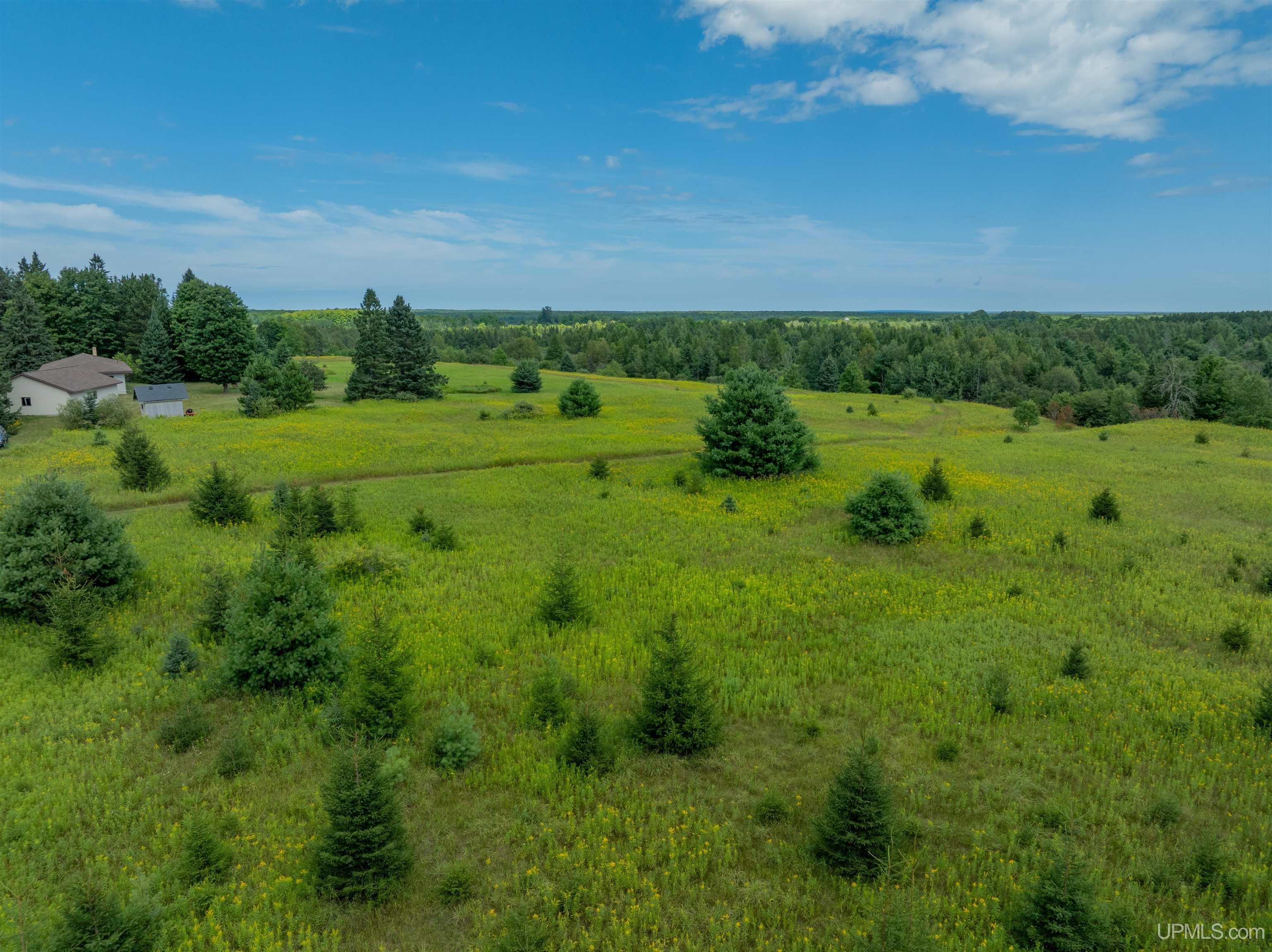 N5552 Jarvinen Road Eben Junction, MI 49825 - Photo 53 of 55 Gallery Image 53