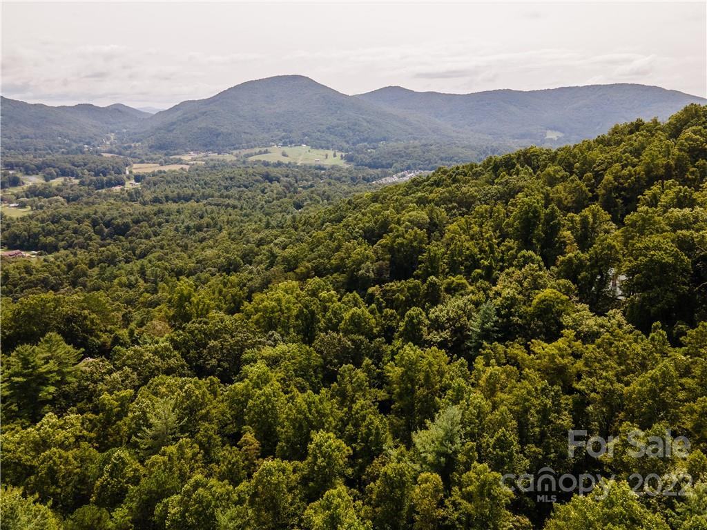 0 Shadow Ridge Drive Fletcher, NC 28732 - Photo 11 of 37 a view of a lush green hillside and a houses
