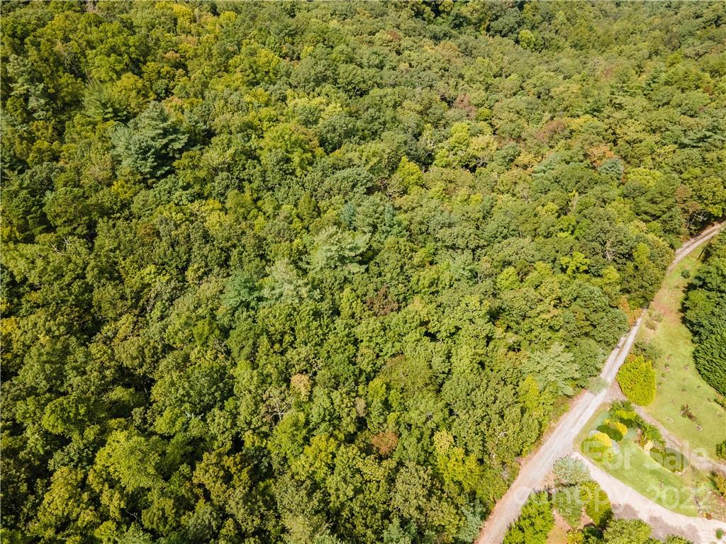 0 Shadow Ridge Drive Fletcher, NC 28732 - Photo 13 of 37 a view of a yard with a tree