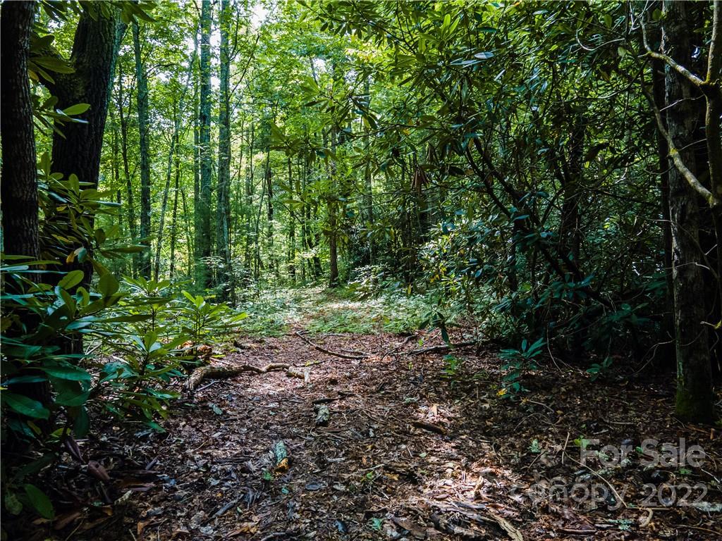 0 Shadow Ridge Drive Fletcher, NC 28732 - Photo 14 of 37 a view of yard