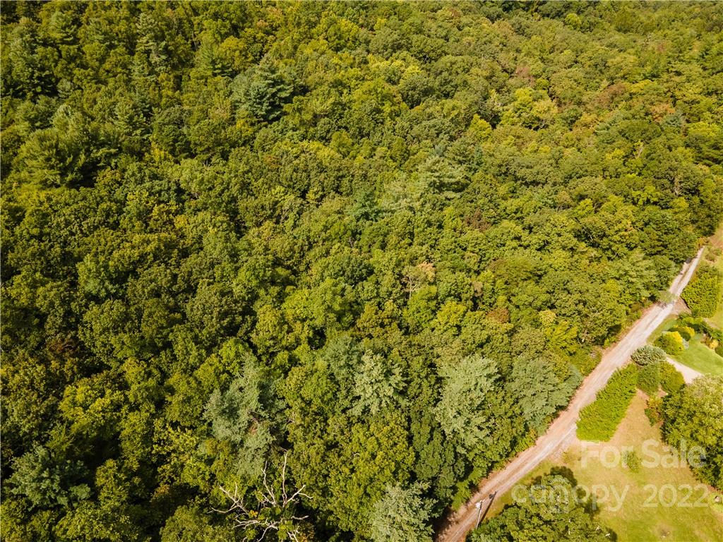 0 Shadow Ridge Drive Fletcher, NC 28732 - Photo 16 of 37 a view of a yard with a tree
