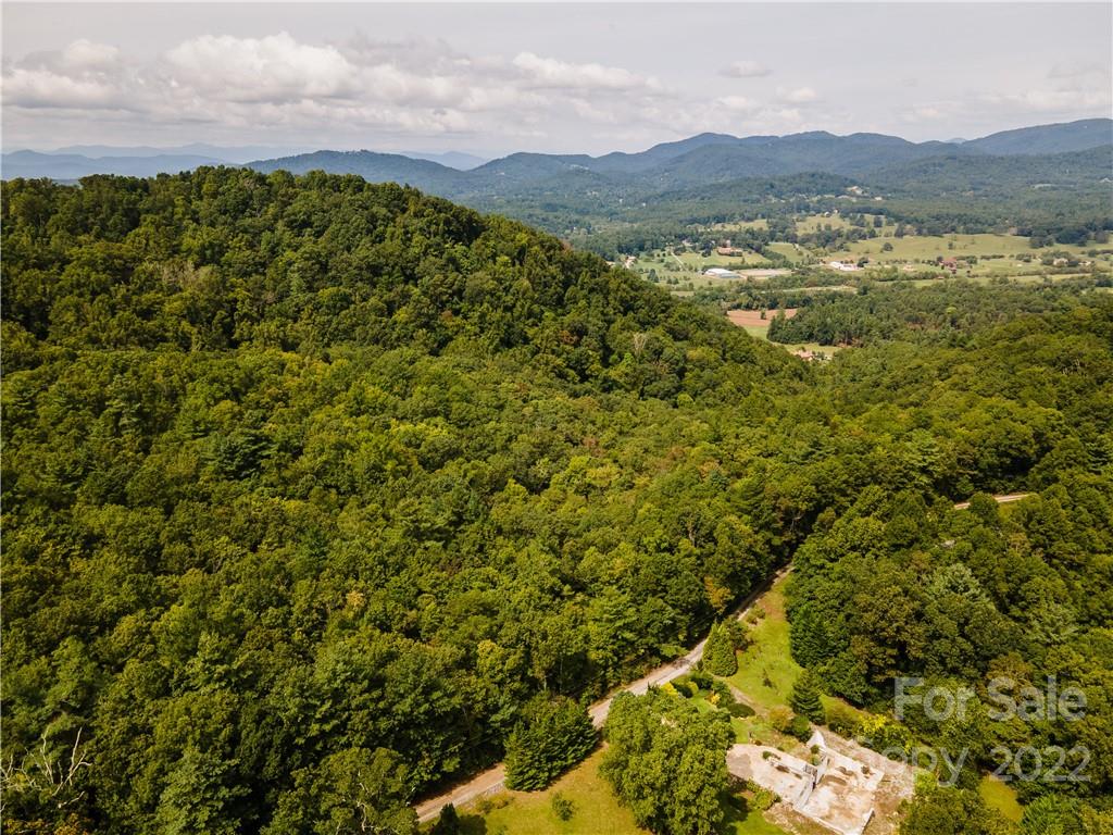 0 Shadow Ridge Drive Fletcher, NC 28732 - Photo 17 of 37 a view of a lush green field with mountains in the background