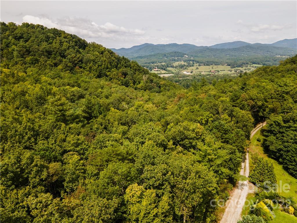 0 Shadow Ridge Drive Fletcher, NC 28732 - Photo 18 of 37 a view of a lush green field with mountains in the background