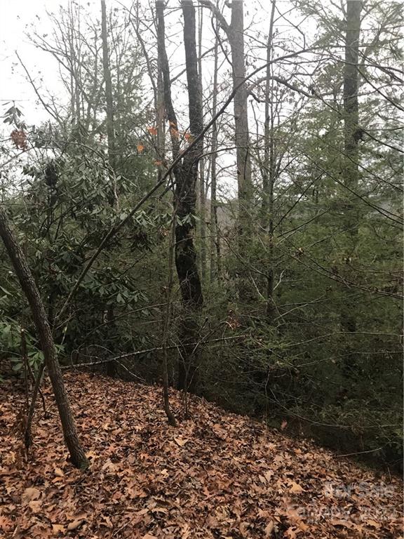0 Shadow Ridge Drive Fletcher, NC 28732 - Photo 24 of 37 a view of a yard with a tree
