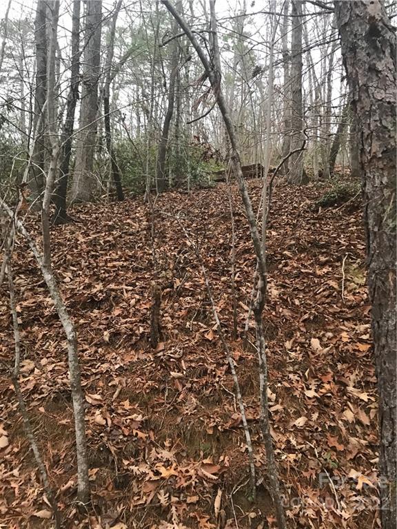 0 Shadow Ridge Drive Fletcher, NC 28732 - Photo 25 of 37 a view of a yard with a trees