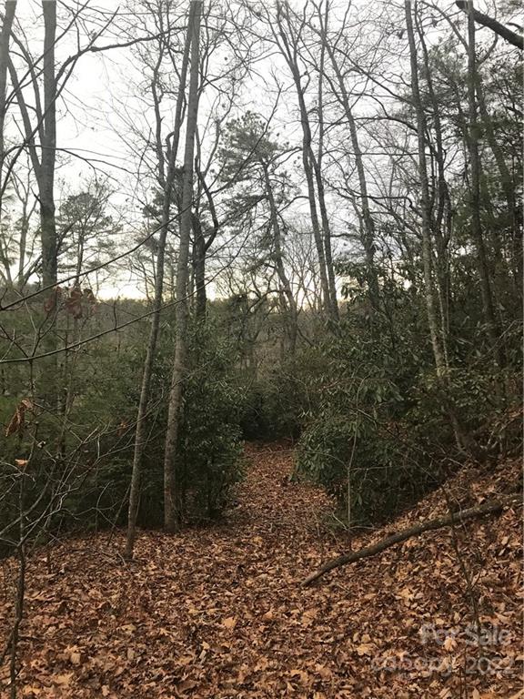 0 Shadow Ridge Drive Fletcher, NC 28732 - Photo 26 of 37 a view of a forest with trees