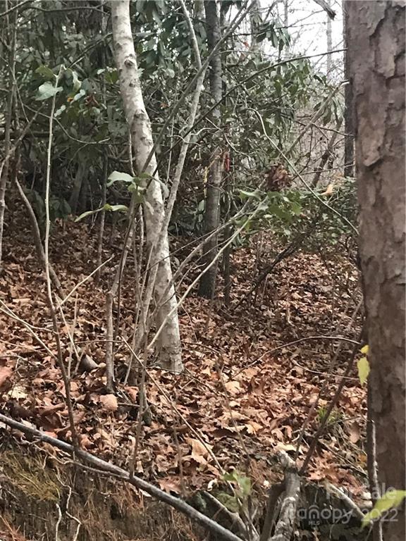 0 Shadow Ridge Drive Fletcher, NC 28732 - Photo 27 of 37 a picture of a tree