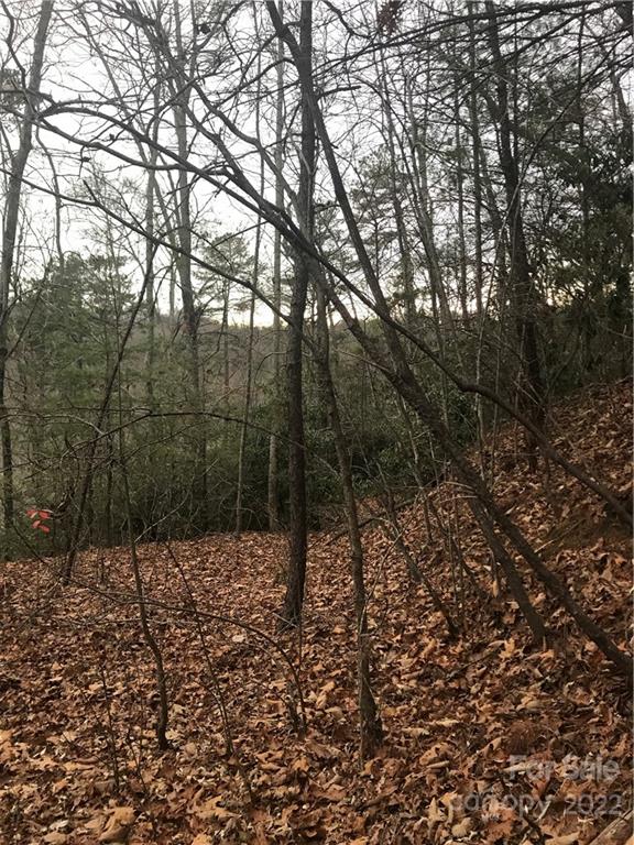 0 Shadow Ridge Drive Fletcher, NC 28732 - Photo 29 of 37 a view of a forest with trees