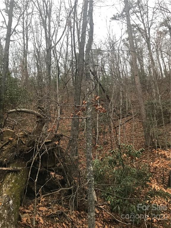 0 Shadow Ridge Drive Fletcher, NC 28732 - Photo 32 of 37 a view of a yard