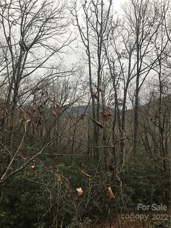0 Shadow Ridge Drive Fletcher, NC 28732 - Photo 33 of 37 a view of a yard with a tree