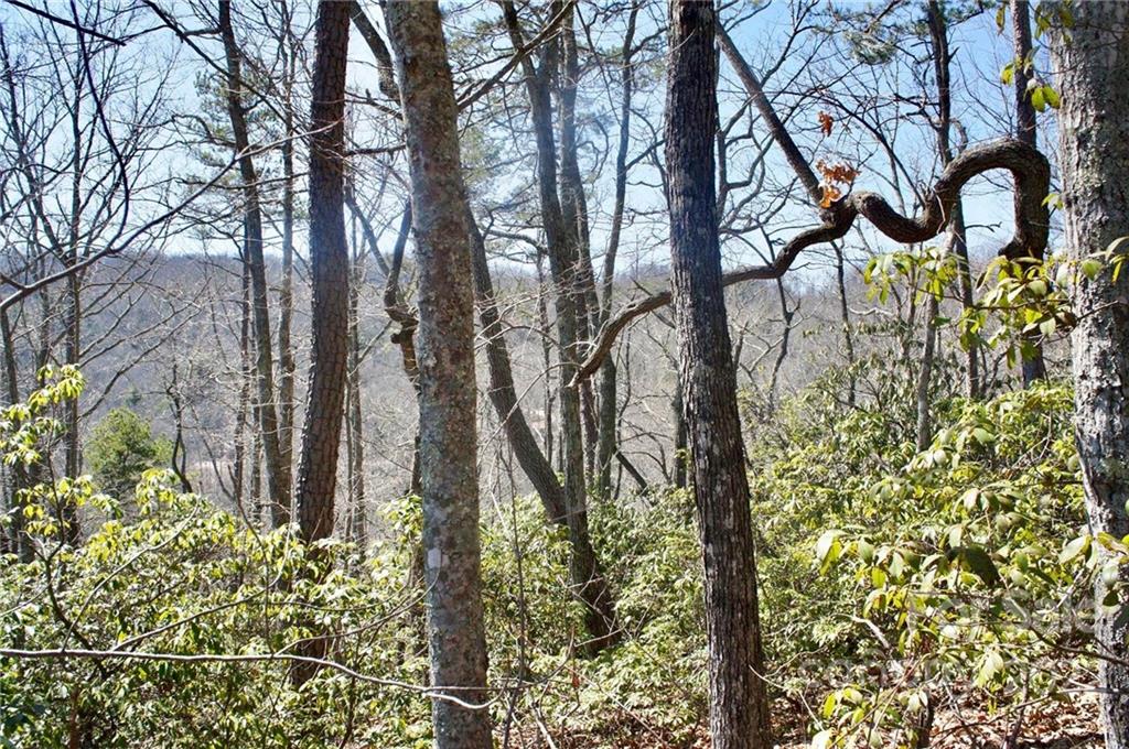 0 Shadow Ridge Drive Fletcher, NC 28732 - Photo 36 of 37