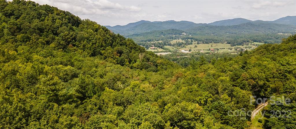 0 Shadow Ridge Drive Fletcher, NC 28732 - Photo 4 of 37 a view of a mountain range with lush green forest