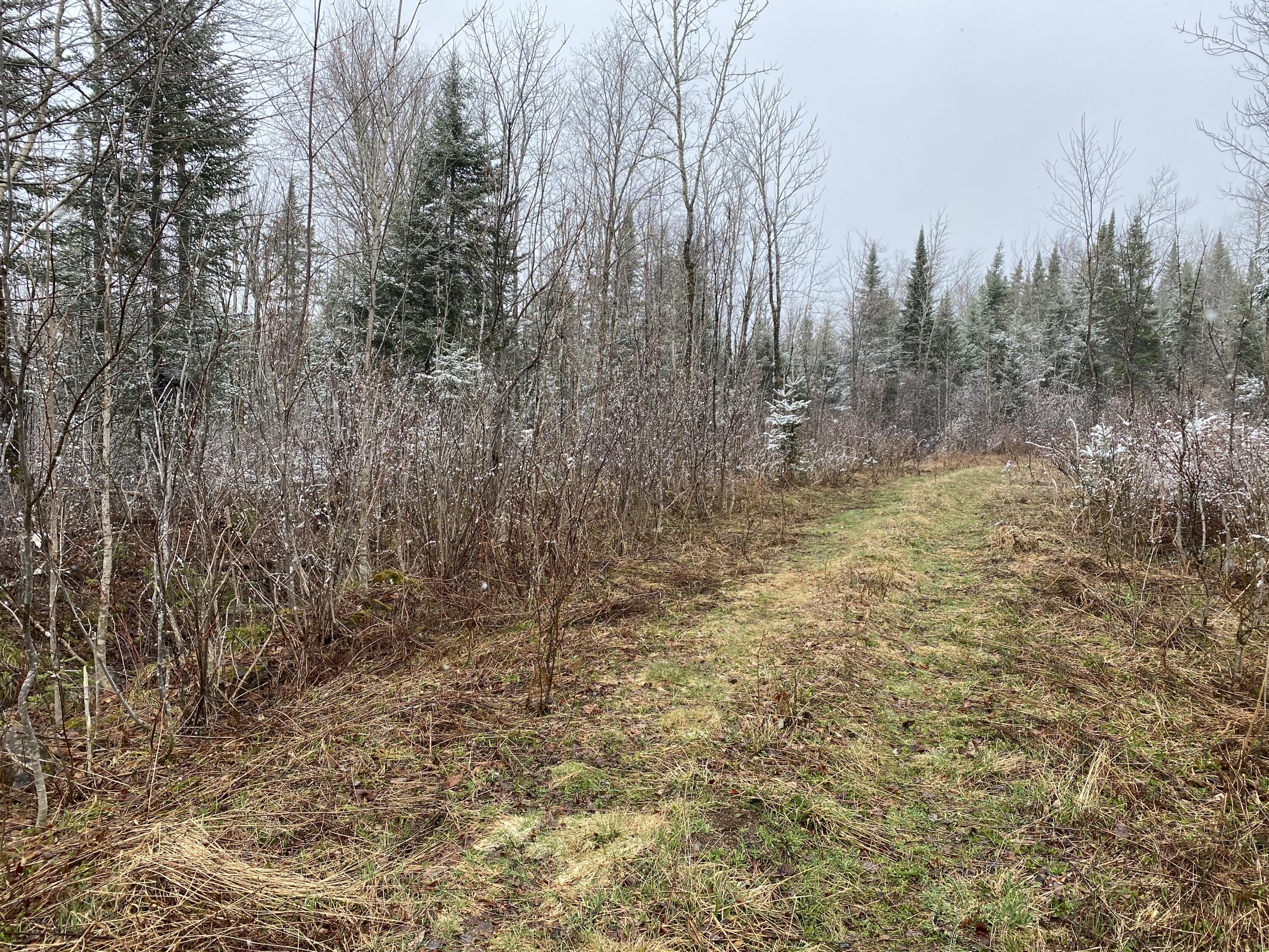 913 Skedgell Road Orient, ME 04471 - Photo 17 of 19