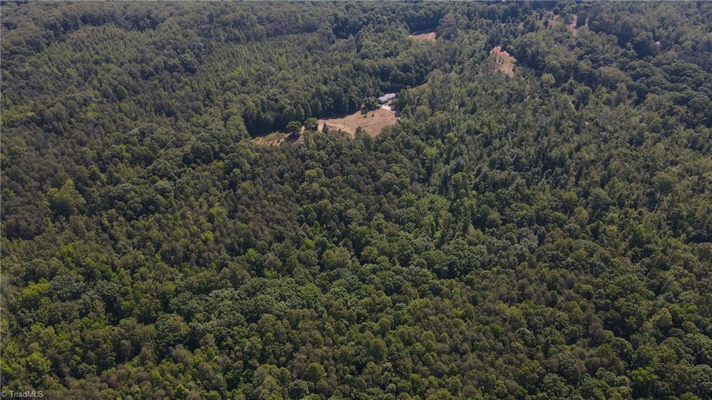 7767 Pearman Quarry Road Kernersville, NC 27284 - Photo 20 of 27