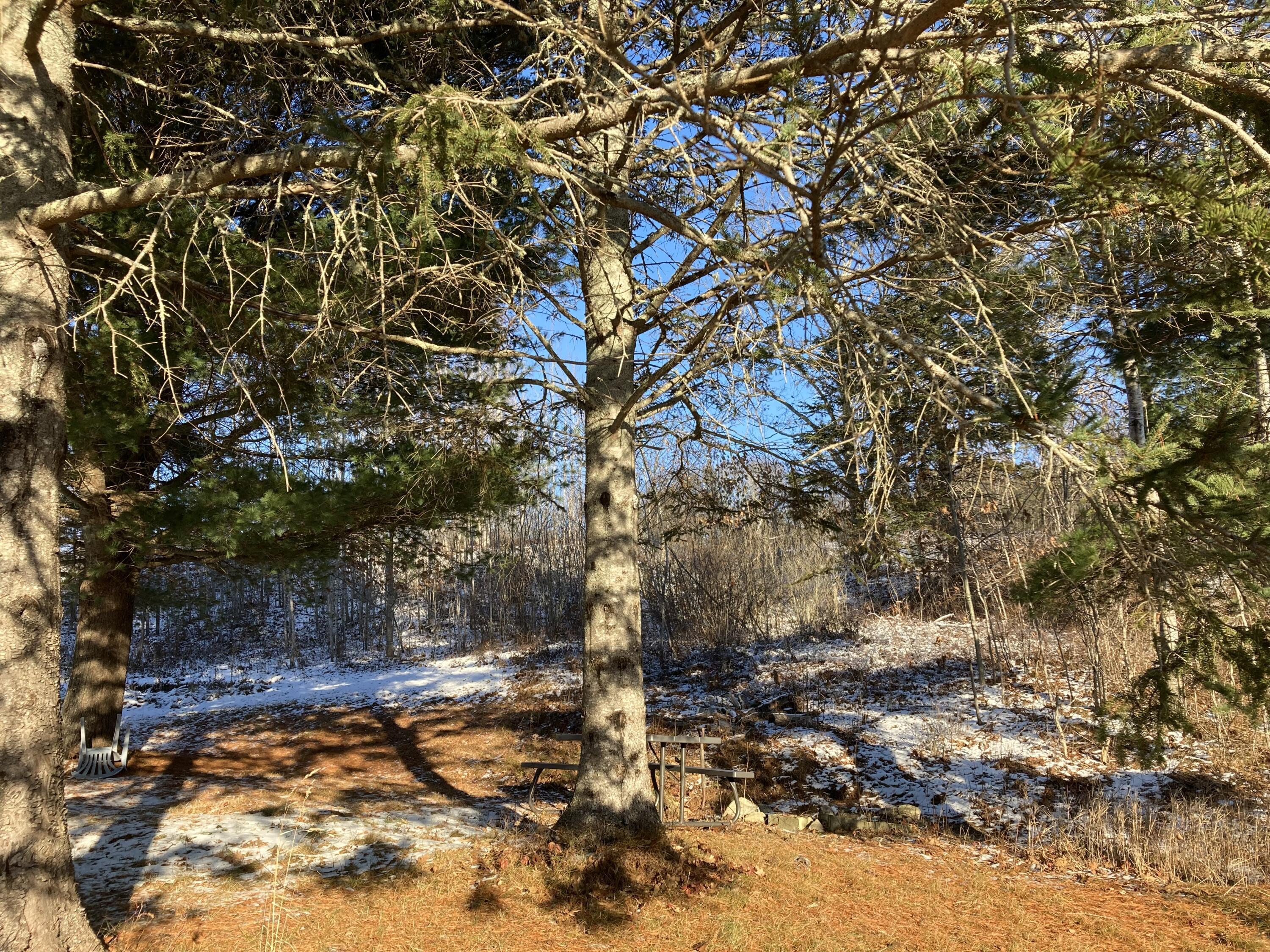 209 Hog Bay Road Franklin, ME 04634 - Photo 23 of 29 Picnic area.