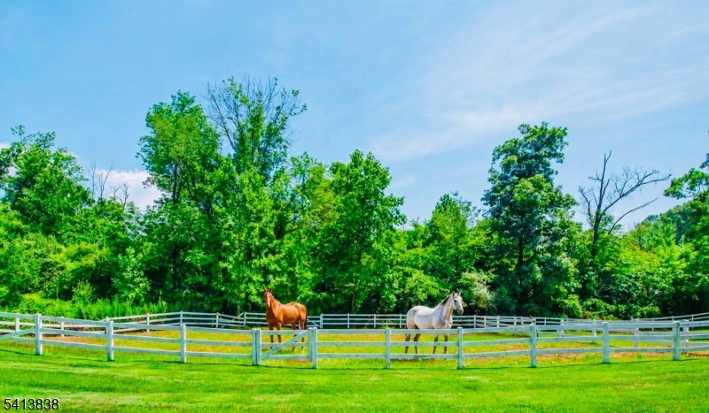 200 Lamerson Road Chester, NJ 07930 - Photo 9 of 42 Gallery Image 9