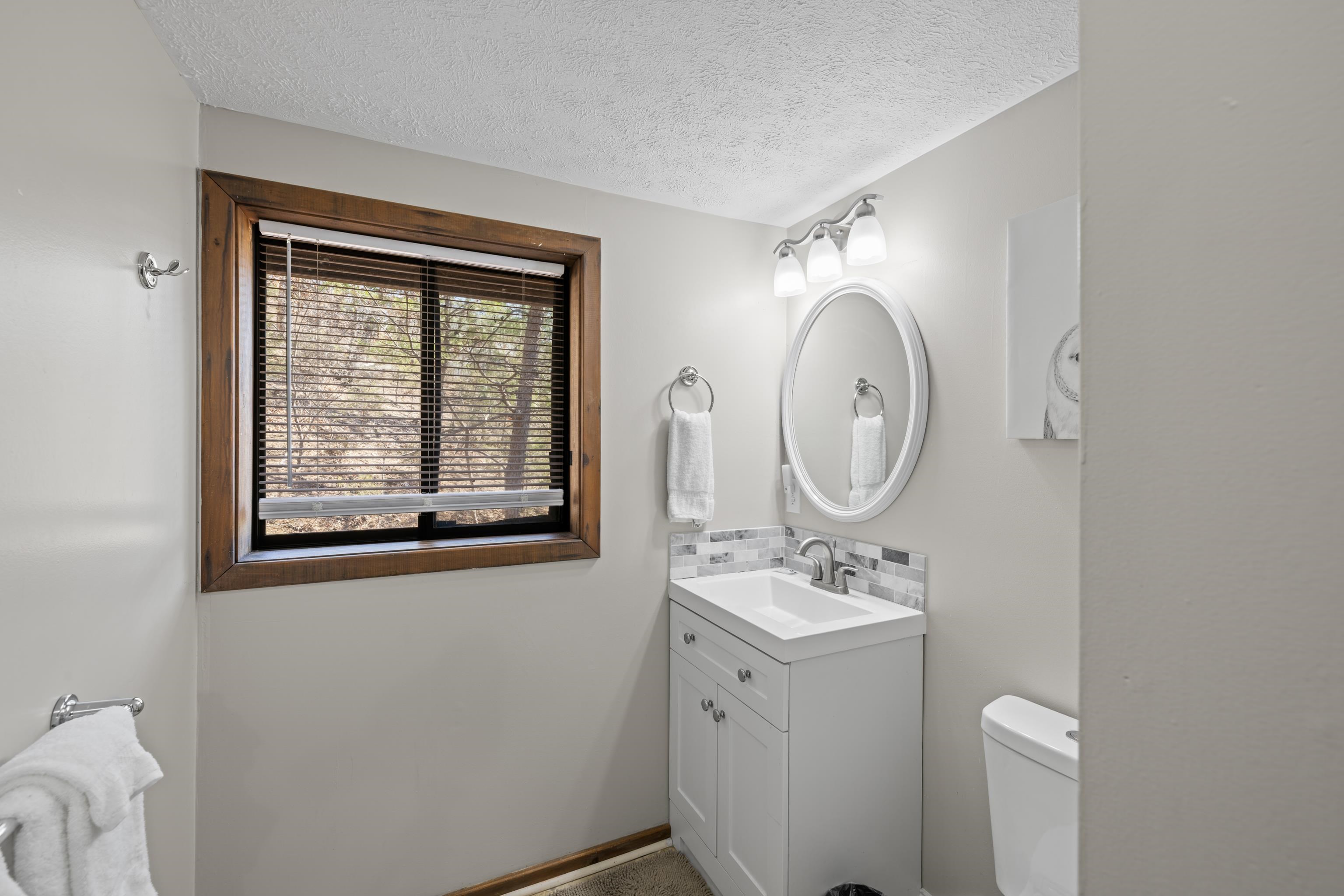 673 Killmon Road Basye, VA 22810 - Photo 32 of 74 a bathroom with a toilet a sink and mirror